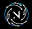 NexSys Logo